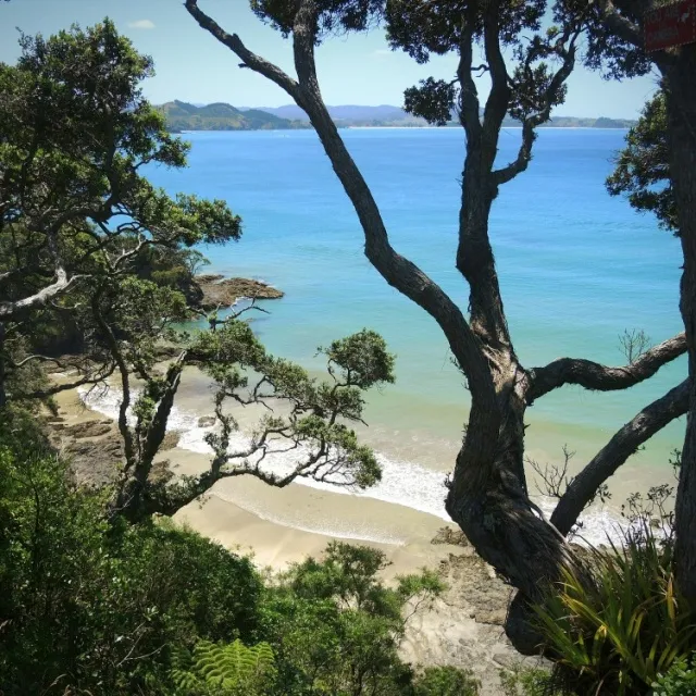 cala en la costa brava