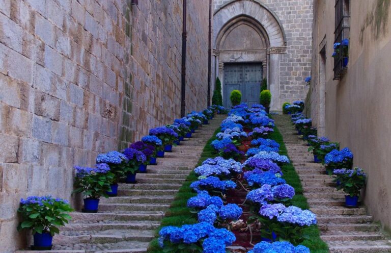 Temps de flors Girona